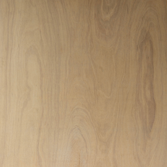 Exterior Grade Hardwood Ply BB/CC