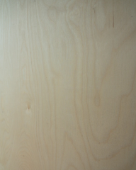 Birch Plywood BC