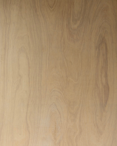 Exterior Grade Hardwood Ply BB/CC