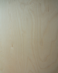 a close up image of birch plywood sheet 