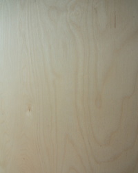 a close up of birch plywood sheet 